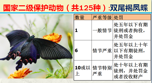 国家保护动物分几个等级（125类二级野生保护名录）