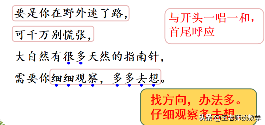 如果你在野外迷了路(二年级语文下册《要是你在野外迷了路》学案 练习题，快收藏吧！)