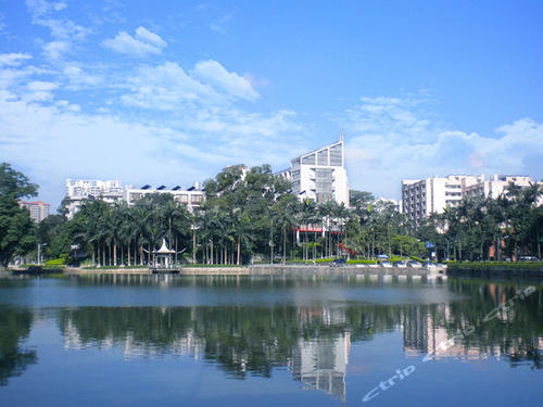 华南地区最好的20所大学，可分为5档，适合不同分数考生报考