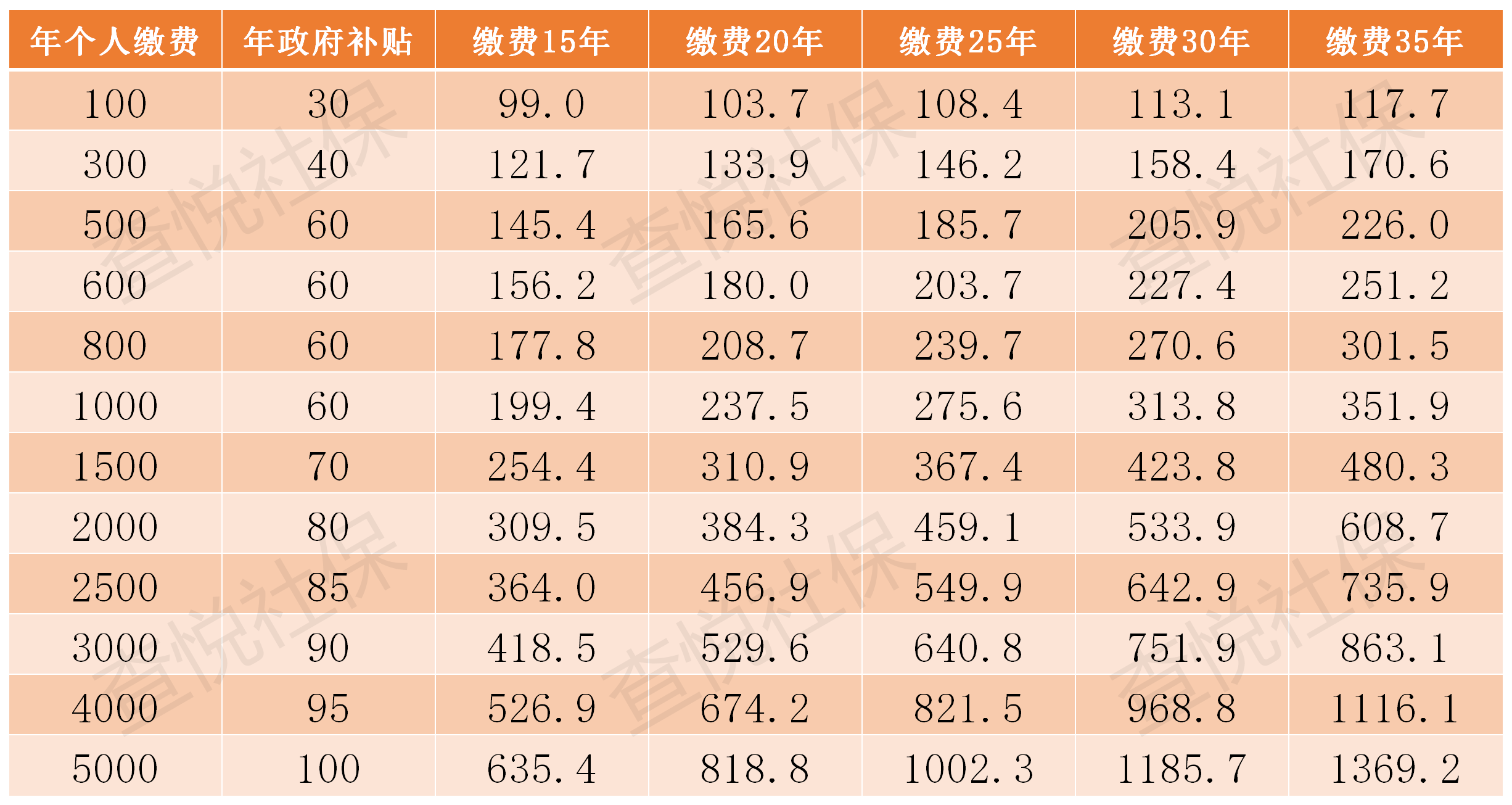 城镇居民养老保险缴费标准,城镇居民养老保险缴费标准及政府补助标准