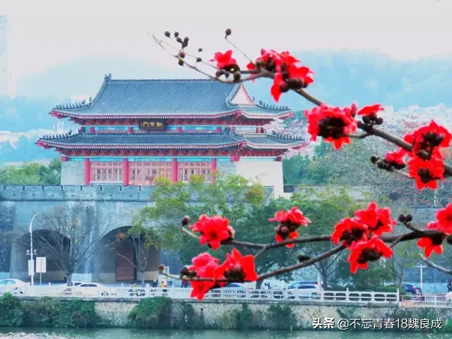 原创，【山峦叠翠芽嫩娇，瀑布直倾万丈高】