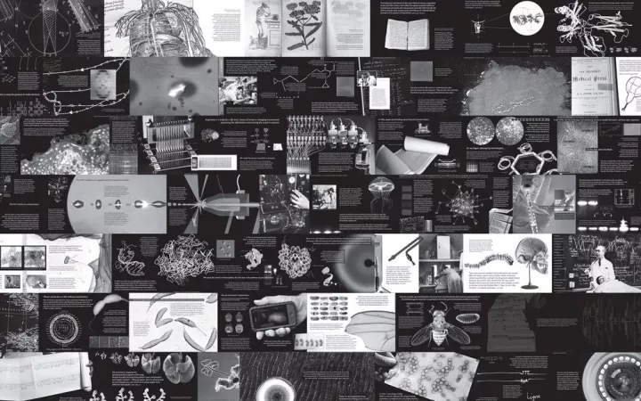 校园开放空间景观设计，竟然可以如此“有趣”？