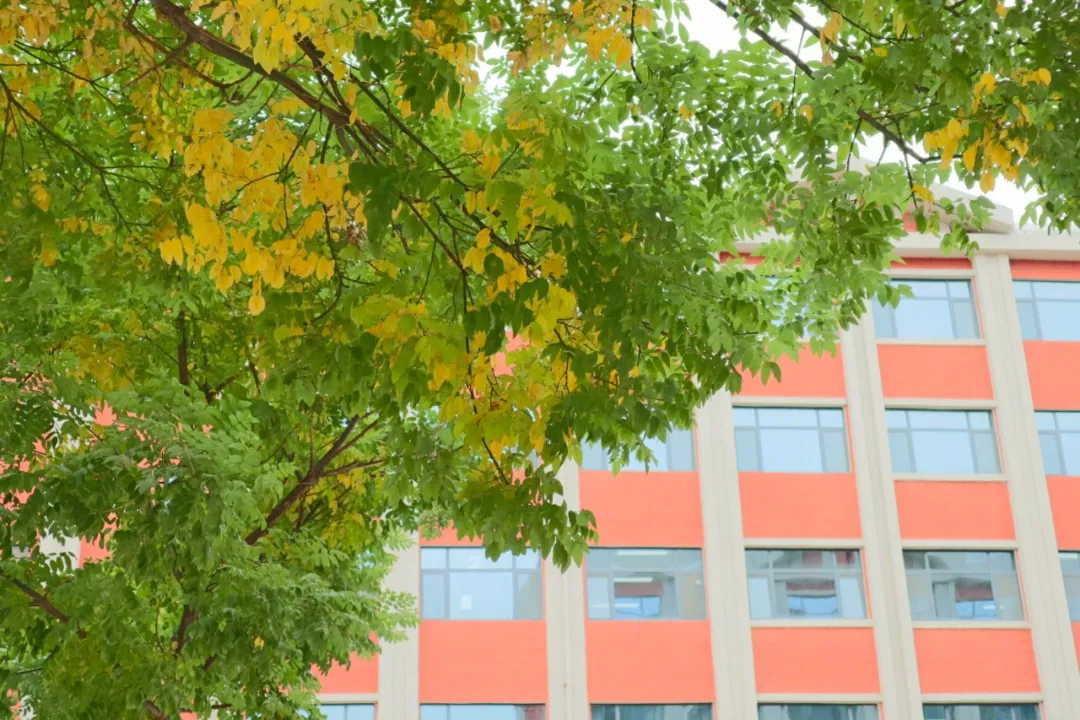 为什么要报考兰州大学？