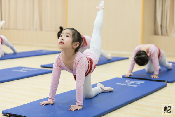 小孩考级考舞协还是北舞？北舞好还是舞协好