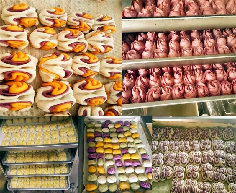 在潍坊枫叶国际学校，您的孩子将这样长大