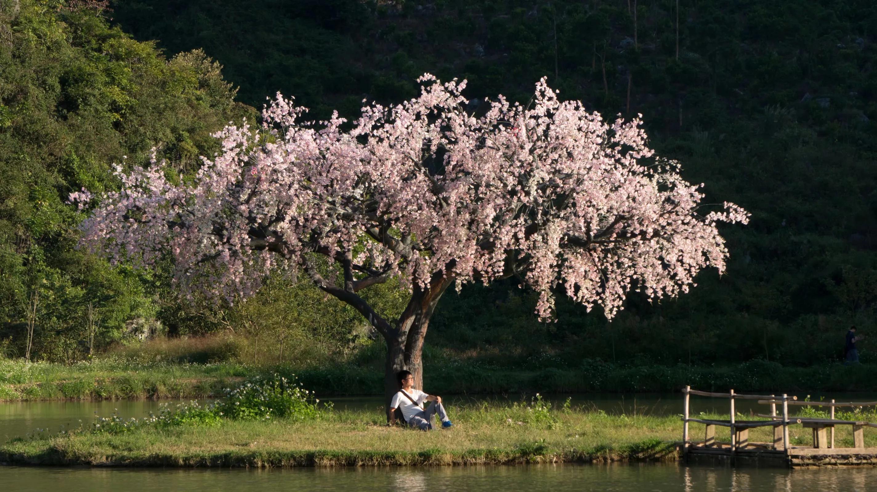 持清远旅游年卡，漂流、泡温泉等三十多个景点免费，景区如何赚钱