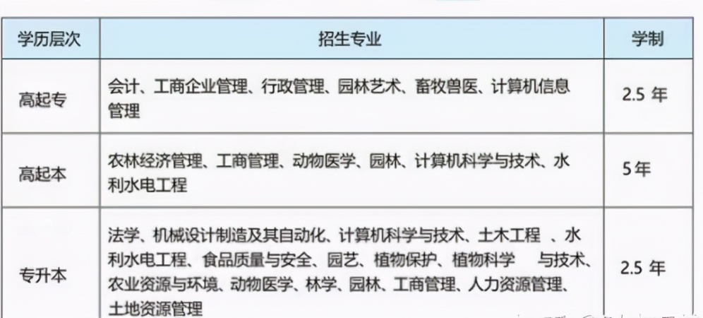 武汉科技大学成人高考（湖北成人高考的学校有哪些）