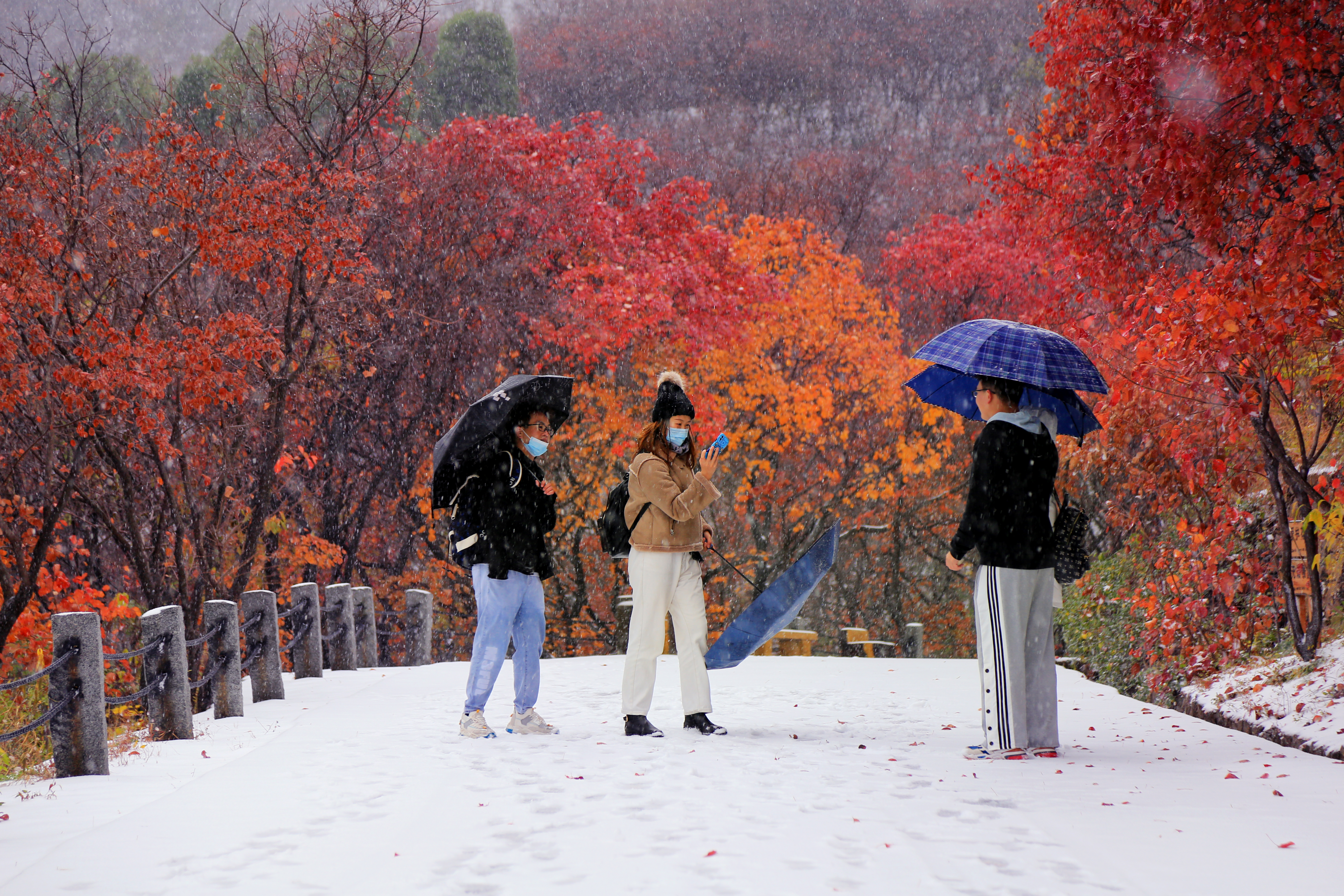 山东7市迎暴雪~雪后十大景点美爆，快来看