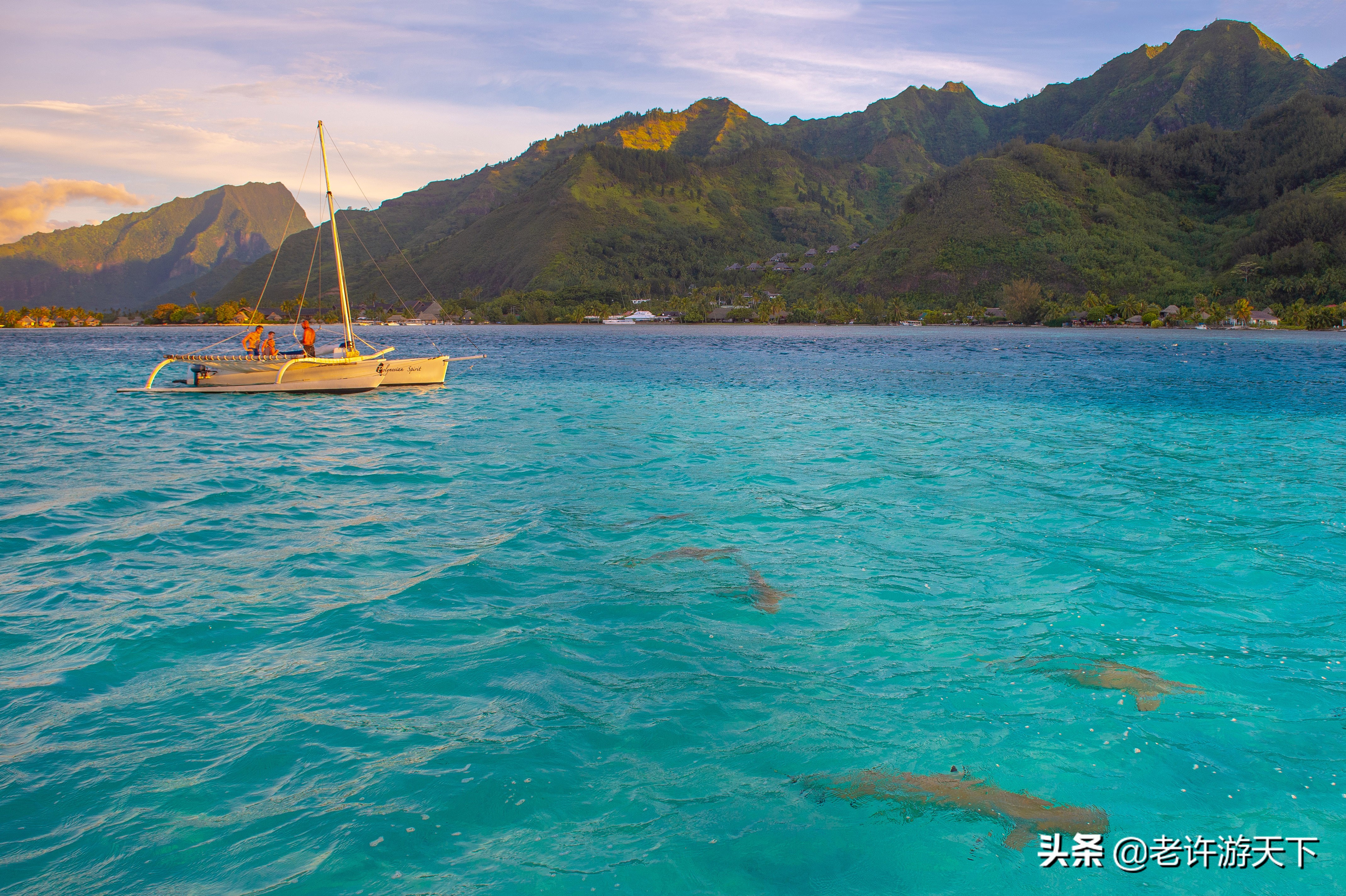 世界十大海岛旅游胜地（世界10个美丽海岛堪称度假胜地）