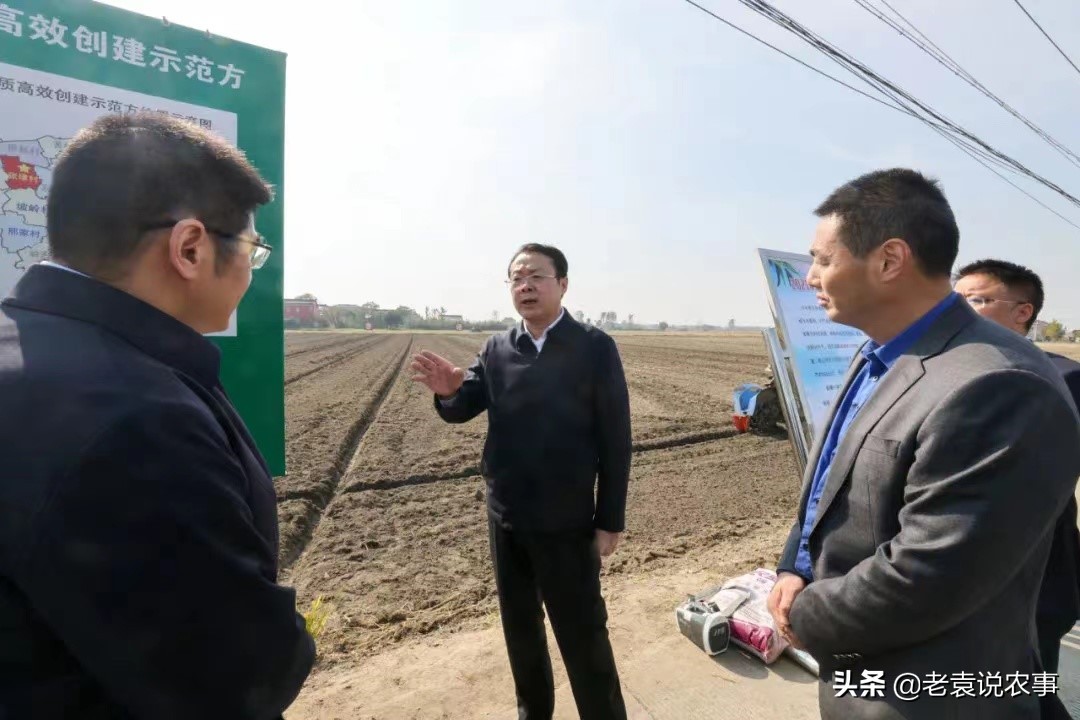 江苏省泰州市姜堰区：水稻收得快、小麦种得好