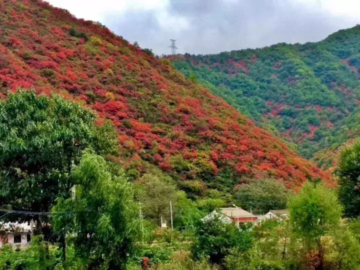 中国醉美秋色在秦岭,2条自驾路线解锁最绚烂秋景,10月最美
