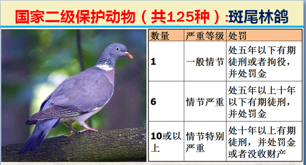 二级保护动物（国家最新125类二级野生保护名录）