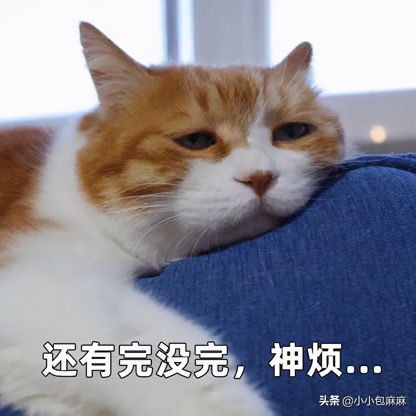 中年男人是如何把这个姿势做到全国统一的？