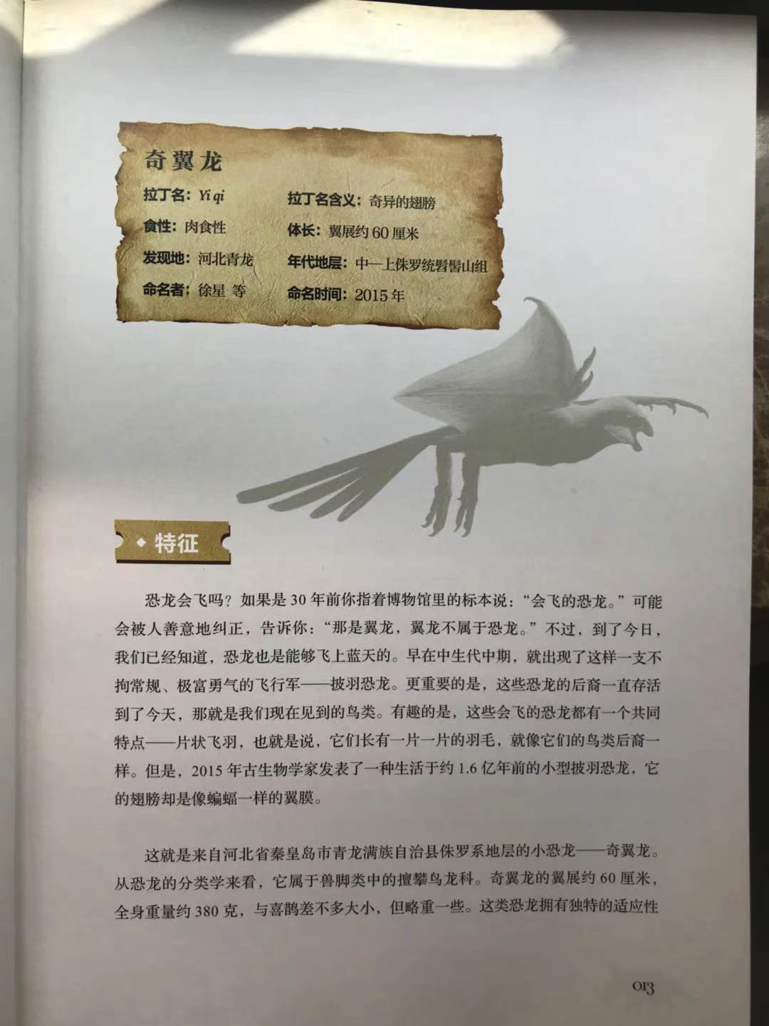 恐龙是如何命名的(恐龙名字的由来：霸王龙不叫霸王龙？隐龙与《卧虎藏龙》有关？)