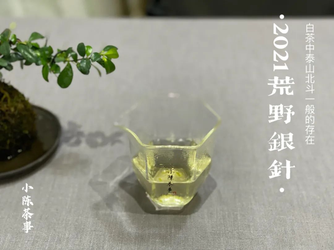 从白毫银针、白牡丹、寿眉，新茶友第一次买白茶有什么推荐吗？