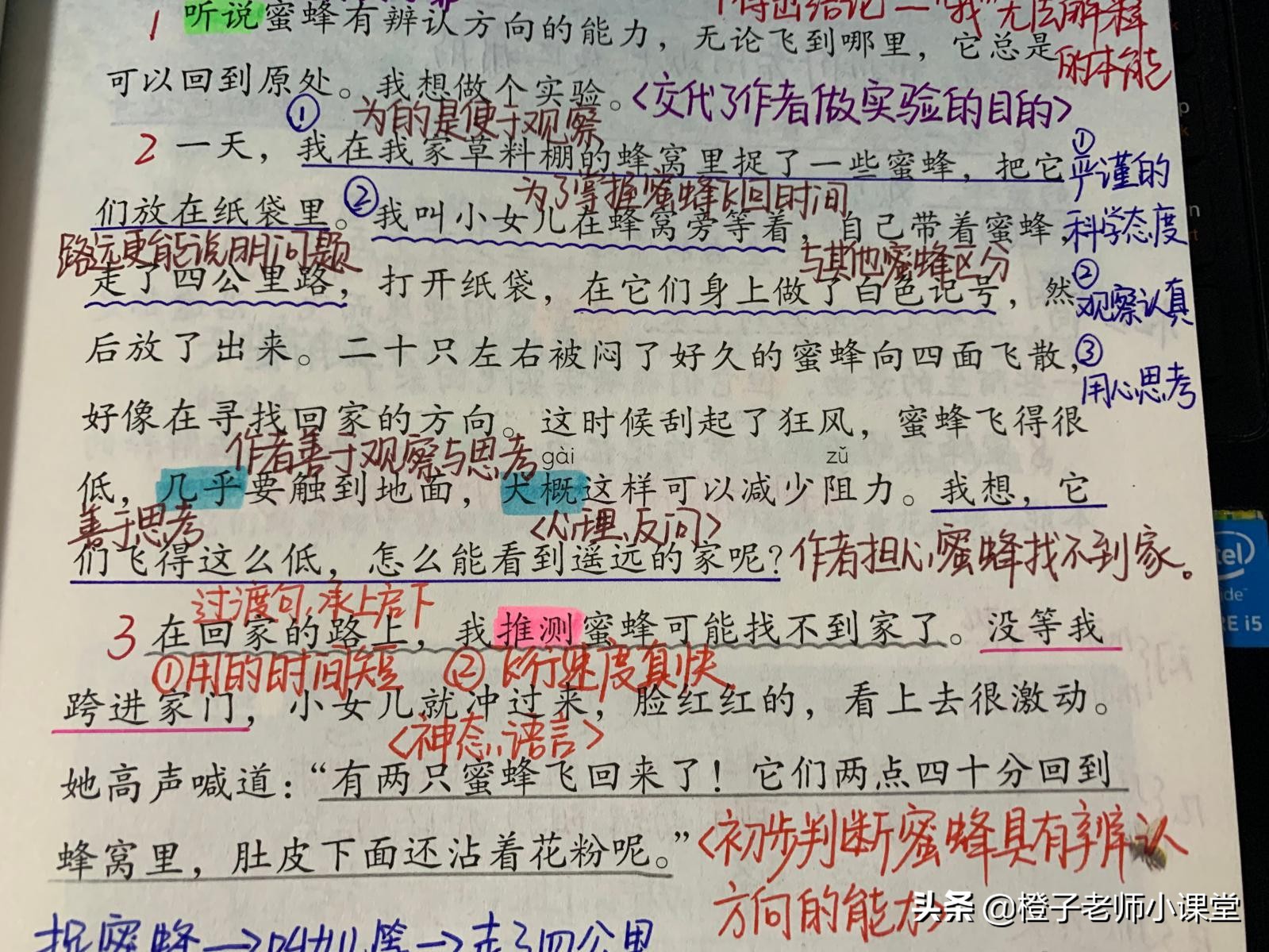 三年级课文《蜜蜂》，教师整理笔记认识法布尔，学习科学精神