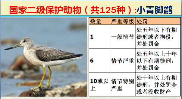 国家保护动物分几个等级（125类二级野生保护名录）