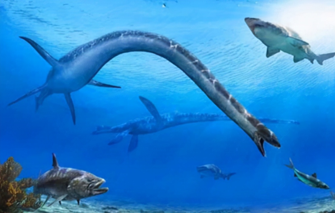 无人机拍到"尼斯湖水怪",和蛇颈龙极为相似