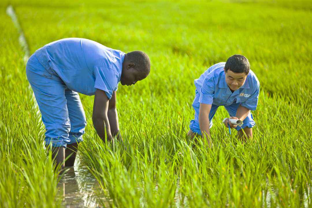 古代也有电饭煲？原来是搬运古法蒸米技术，怪不得送礼改送电饭煲