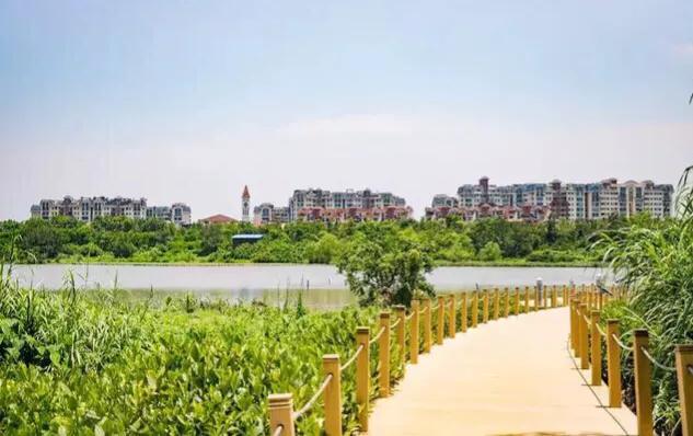 深圳十大免费特色的湖泊公园