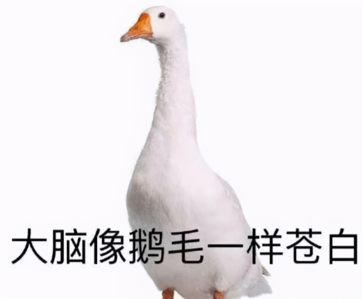 文科生VS理科生，大学毕业后才发现，差别不是一星半点