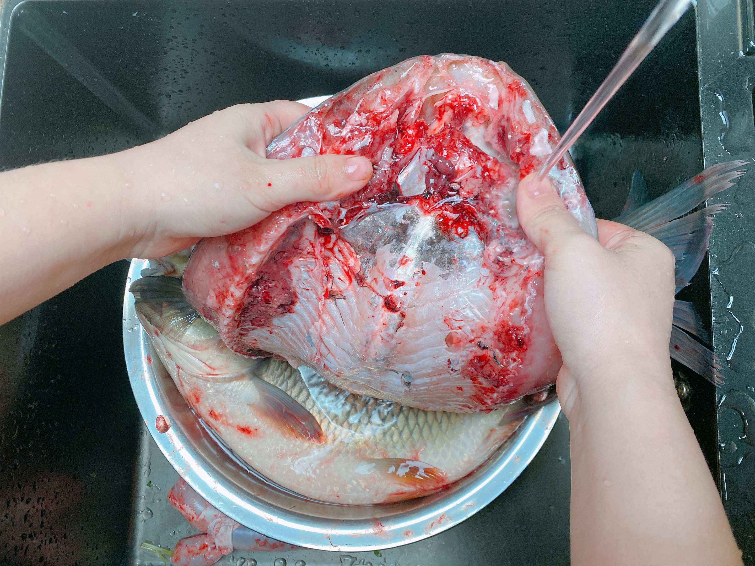 腌腊鱼别只抹盐，传统做法分享给你，从选鱼到风干，鱼肉咸香紧实