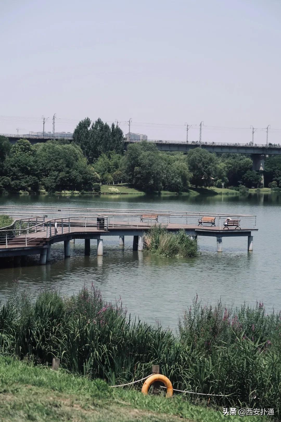 免費開放!西安這個冷門仙境公園人少景美,可以看