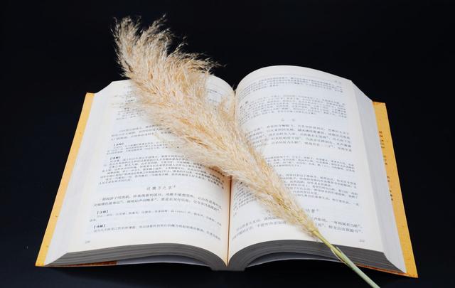 叶圣陶杯中学生作文赛获奖作品11篇: 篇篇都是满分作文的范文