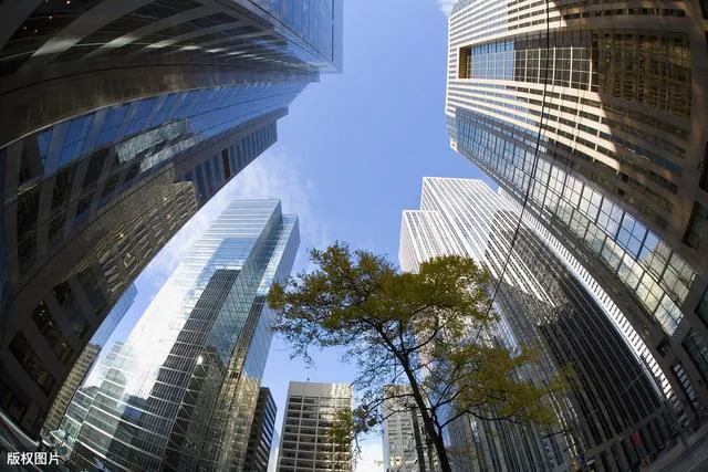 收藏！松北教育局解答小升初难点问题，新区公办民办中学有哪些？