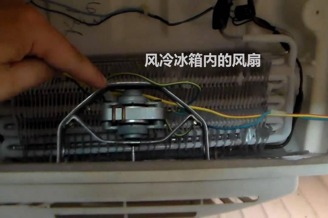 担心买冰箱被坑？记住这“4买4不买”原则，商家都拿你没辙