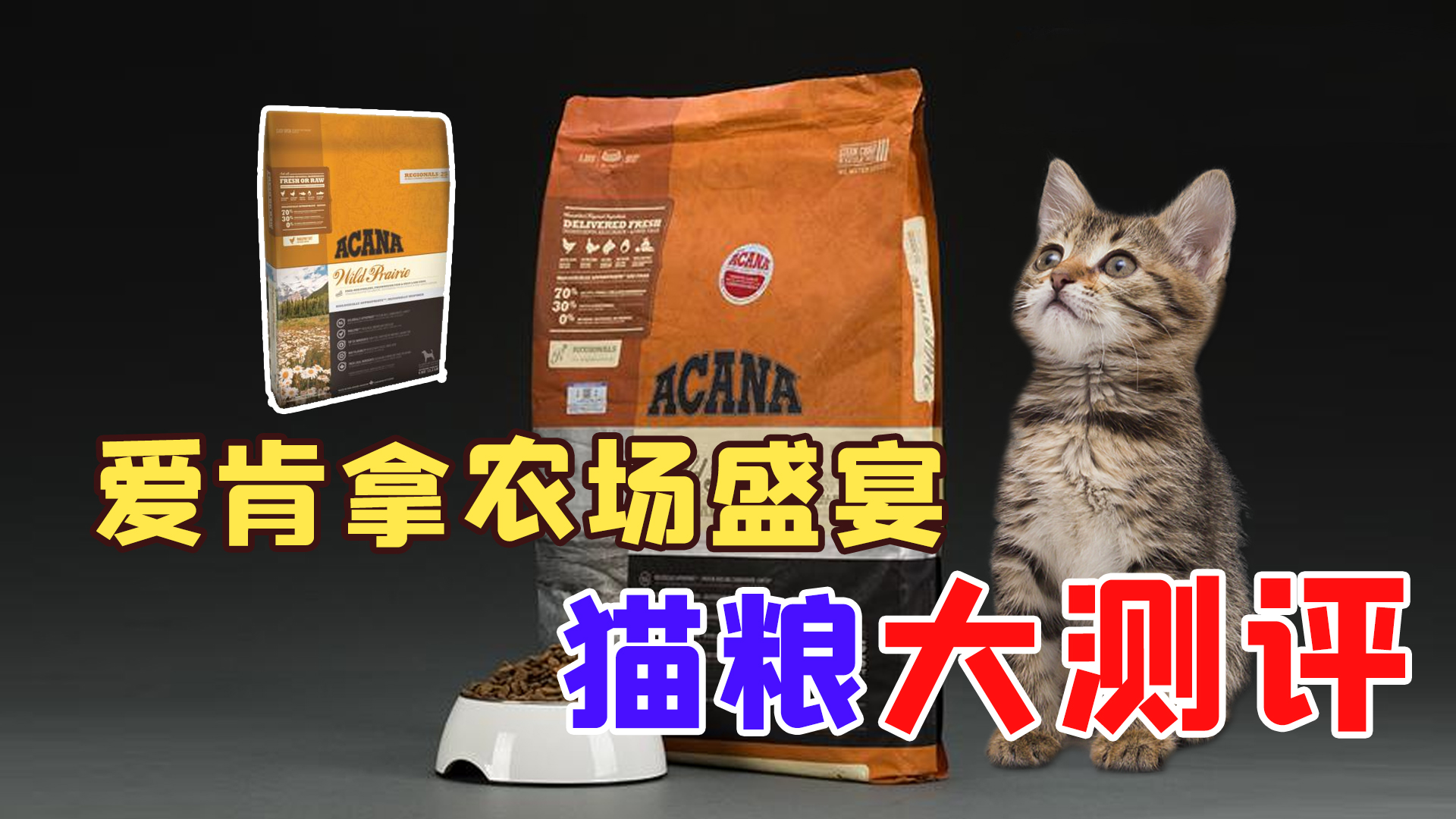 爱肯拿猫粮好吗（关于爱肯拿猫粮的全面测评）