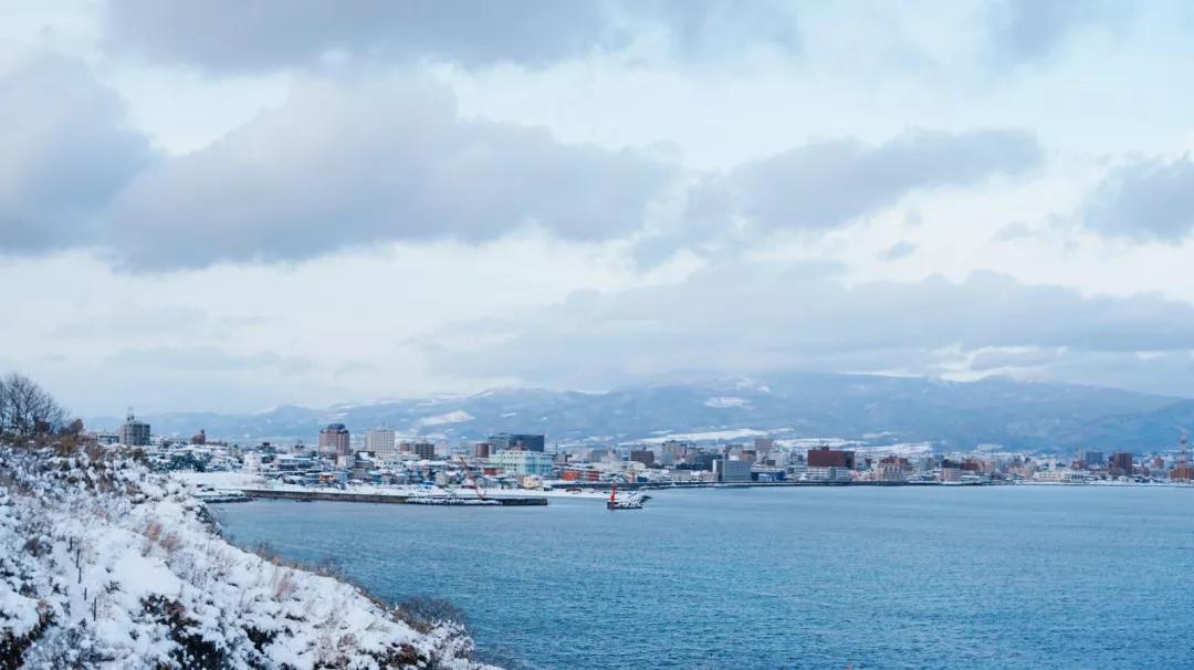 有一种冬天叫北海道，一池暖汤半壶清酒，看落雪纷飞