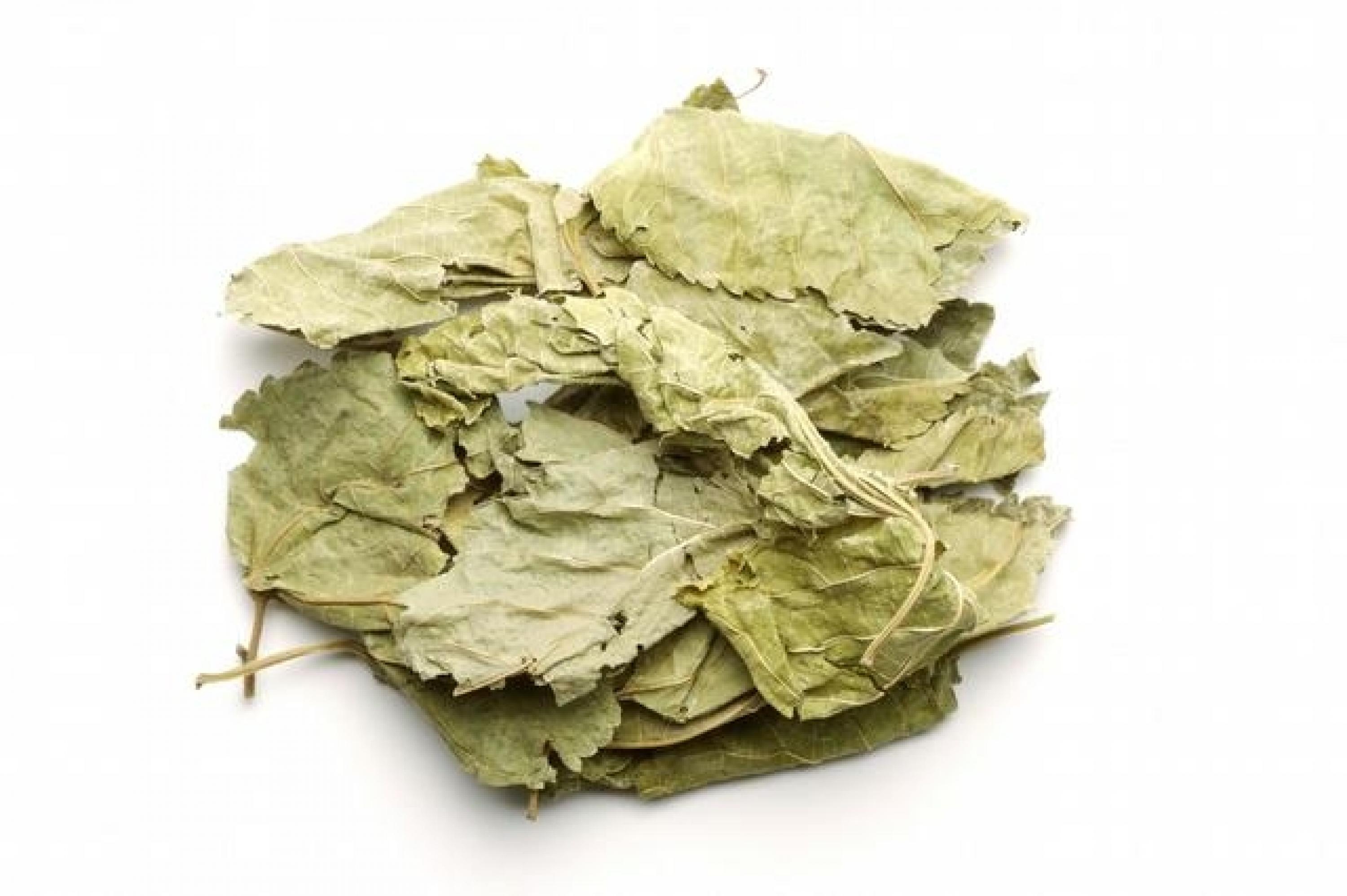 桑叶确有降糖作用,但为何医生都不推荐呢?