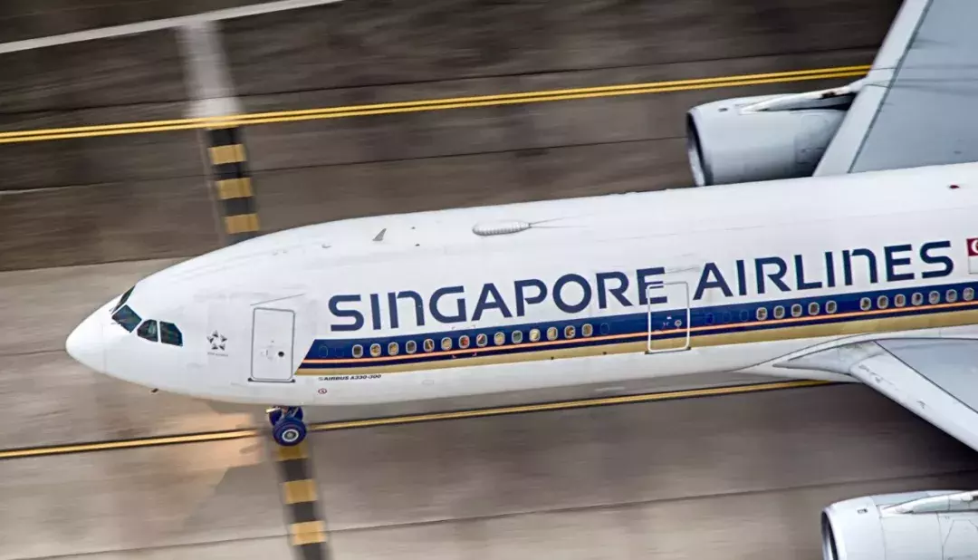 旅行中香港仍然不可替代?不!可替代