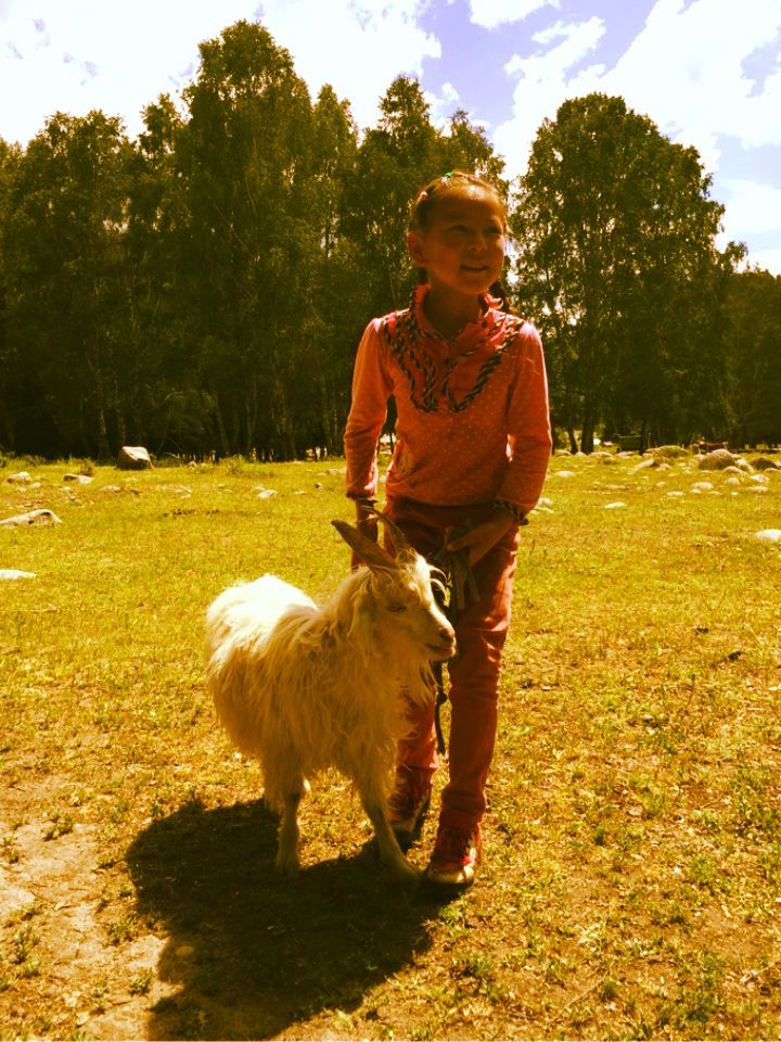 令人难以忘怀的梦幻禾木