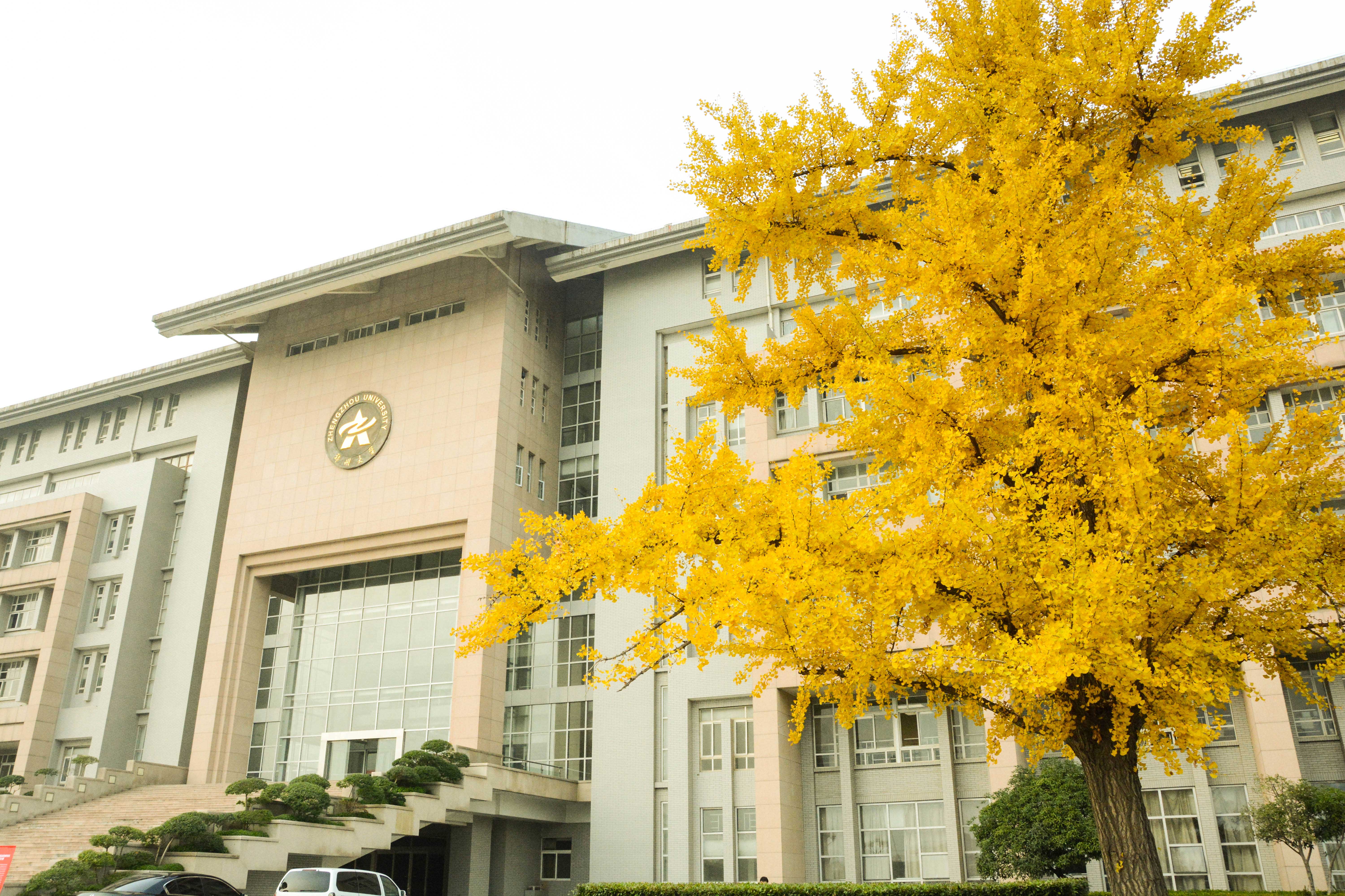 郑州大学2020年学术学位博士研究生招生简章发布！拟招收500余名