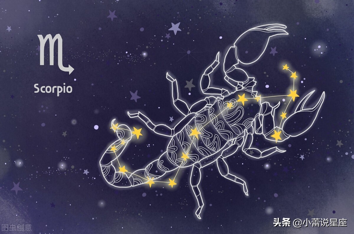 十二星座理想的职业