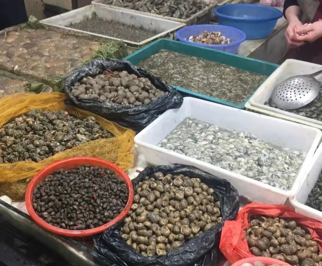 要智慧，也要烟火气——台州农贸市场升级经典五化案例回顾