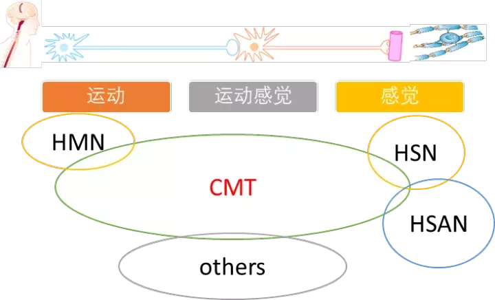 脑科学日报 : 老年效果好？年龄是否影响电休克的抗抑郁疗效？