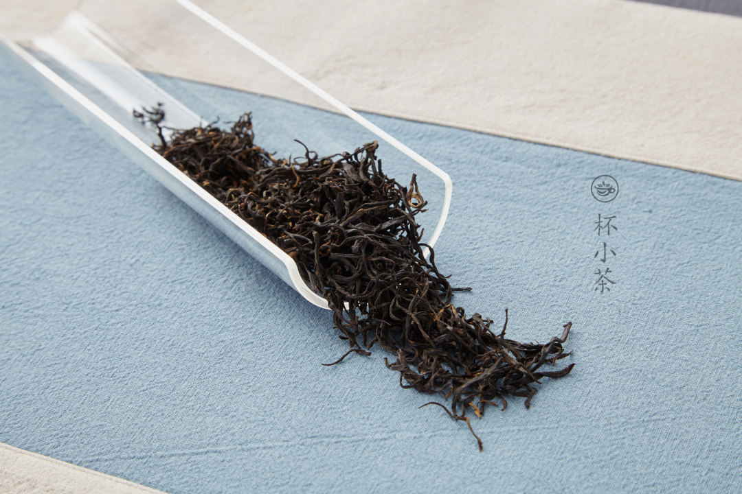 没有电子秤，可以这么“量”茶叶