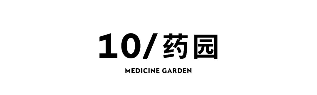 下一站：湖南中医药大学