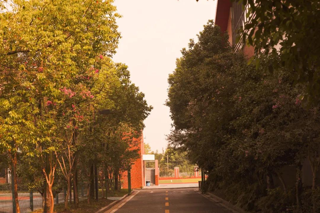 张家港高级中学 张家港高级中学校服-徐拾记官网