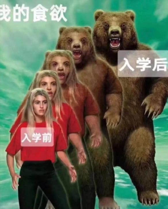 毕业生用梗图吐槽大学生活，堪比一部“退化史”，是我本人没错了