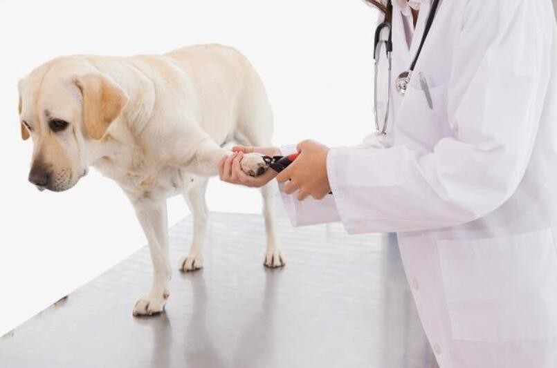 被家长“打入冷宫”的冷门专业，其实就业率高，竞争也比较小