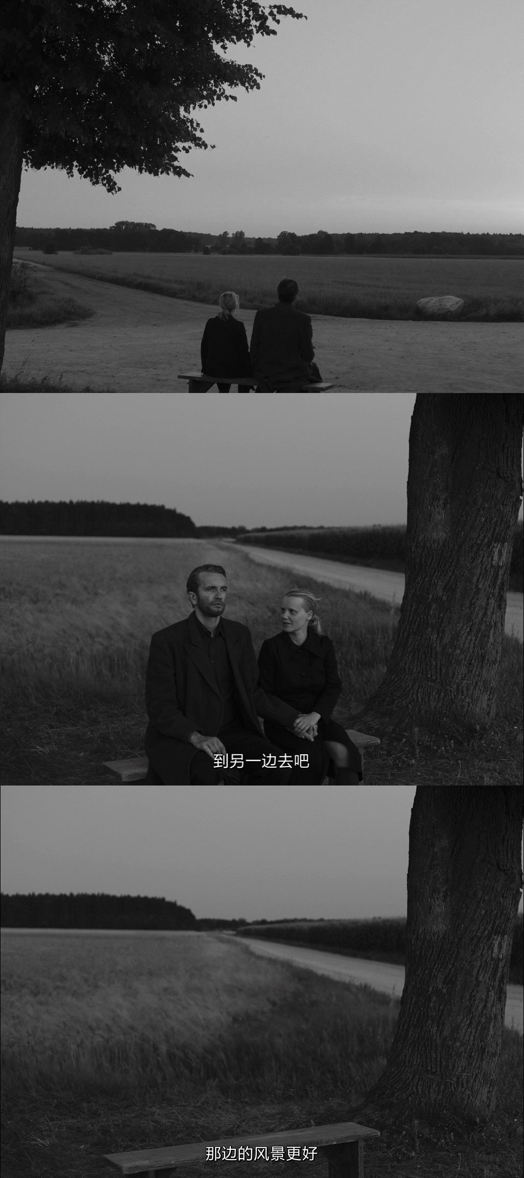 冷战电影剧情「简介」 _晶羽科技