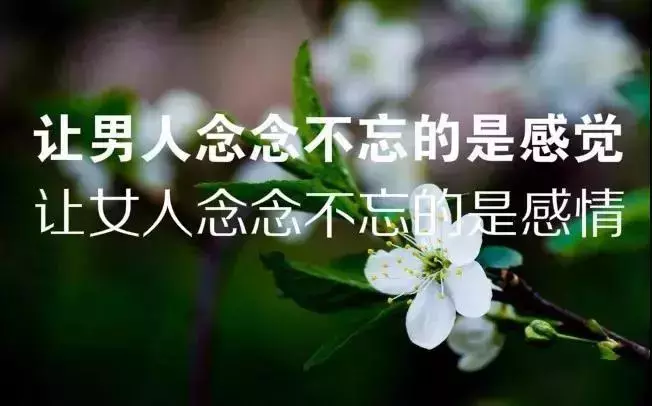 心痛到撕心裂肺的唯美句子，句句触动心炫！