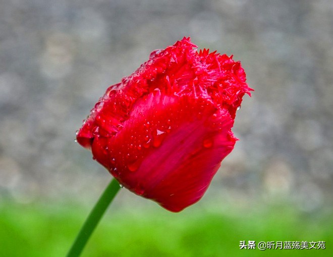 与你相伴，爱意如初恒久远。