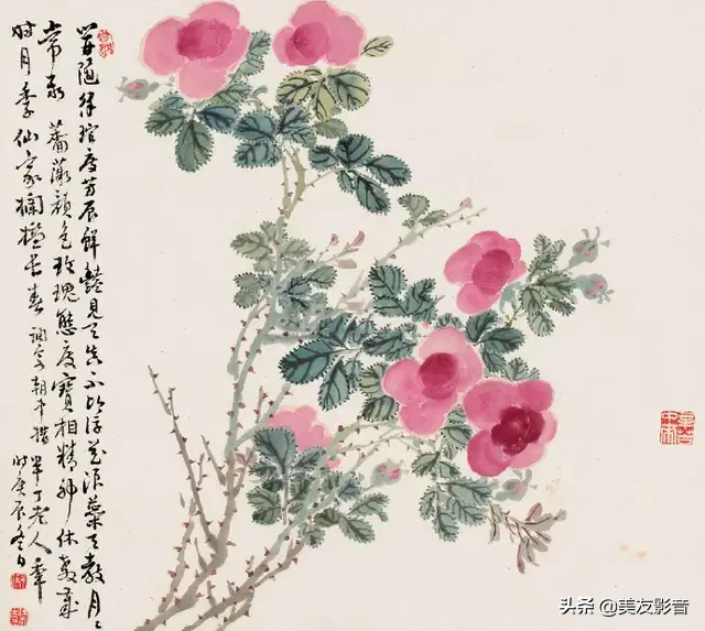 【花画世界】名花有主诗词配   国画岂甘绿叶陪