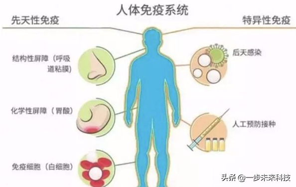 为什么nba鞋垫比鞋贵(生物力学定制鞋垫，NBA比欧洲足球多的一件防疫“利器”。)