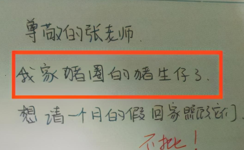 学生请假条走红网络，网友捧腹大笑，辅导员表示现在的学生真难带